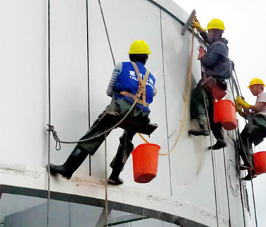 家政版的武林功夫---飞檐走壁，比七夕玫瑰花还养眼的视觉享受